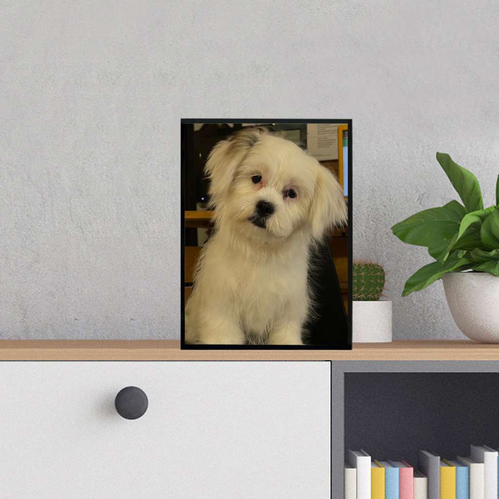 Small Photo Frames - Photo lamination with Stand