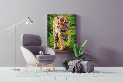 Wildlife Collection 30x40 - Canvas